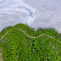 Aerial drone image of forest road and flooding mining residuals. Abstract view of natural living and dead pattern